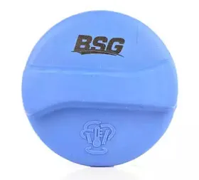BSG 90-551-001 BSG